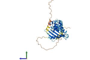 AlphaFold protein structure predicition of Human Recombinant C3orf38 Protein, UniprotID Q5JPI3