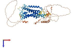 AlphaFold protein structure predicition of Mouse Recombinant Adra1d Protein, UniprotID P97714