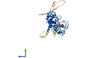 AlphaFold protein structure predicition of Mouse Recombinant Cdc14b Protein, UniprotID Q6PFY9