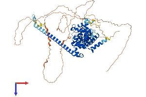 AlphaFold protein structure predicition of Mouse Recombinant Tbc1d14 Protein, UniprotID Q8CGA2