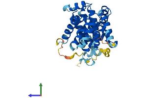 AlphaFold protein structure predicition of Mouse Recombinant Ccng1 Protein, UniprotID P51945