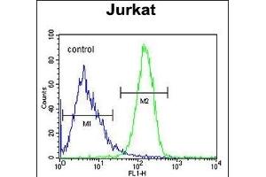 C Antibody (Center) (ABIN651778 and ABIN2840396) flow cytometric analysis of Jurkat cells (right histogram) compared to a negative control cell (left histogram). (CCDC106 anticorps  (AA 151-180))