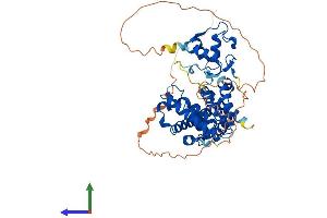 AlphaFold protein structure predicition of Mouse Recombinant Nr6a1 Protein, UniprotID Q64249