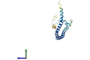 AlphaFold protein structure predicition of Human Recombinant CAV2 Protein, UniprotID P51636