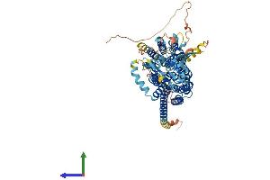 AlphaFold protein structure predicition of Human Recombinant SLCO2B1 Protein, UniprotID O94956