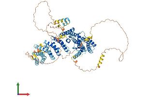 AlphaFold protein structure predicition of Human Recombinant NOC2L Protein, UniprotID Q9Y3T9