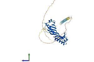 AlphaFold protein structure predicition of Human Recombinant TBP Protein, UniprotID P20226