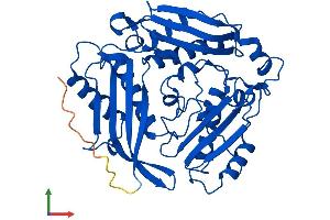 AlphaFold protein structure predicition of Mouse Recombinant Mat1a Protein, UniprotID Q91X83