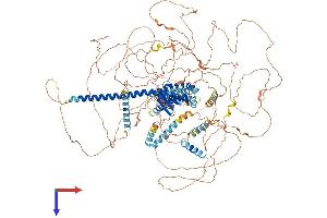 AlphaFold protein structure predicition of Mouse Recombinant Srcin1 Protein, UniprotID Q9QWI6