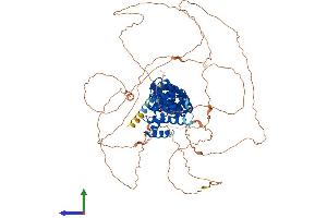 AlphaFold protein structure predicition of Mouse Recombinant Armcx2 Protein, UniprotID Q6A058