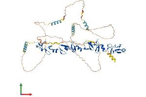 AlphaFold protein structure predicition of Mouse Recombinant Pxn Protein, UniprotID Q8VI36