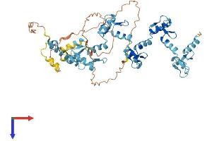AlphaFold protein structure predicition of Human Recombinant ZNF419 Protein, UniprotID Q96HQ0