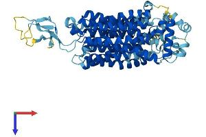 AlphaFold protein structure predicition of Mouse Recombinant Slc22a8 Protein, UniprotID O88909