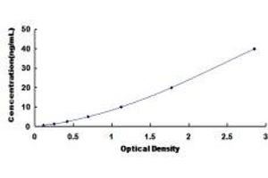 Typical Standard Curve (Flotillin 2 Kit ELISA)