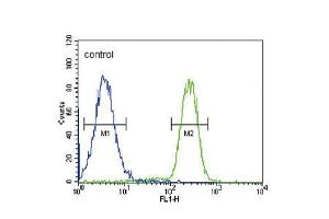 Flow cytometric analysis of MDA-MB435 cells (right histogram) compared to a negative control cell (left histogram). (HSD17B2 anticorps  (AA 265-294))