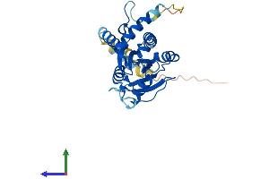 AlphaFold protein structure predicition of Mouse Recombinant Srprb Protein, UniprotID P47758