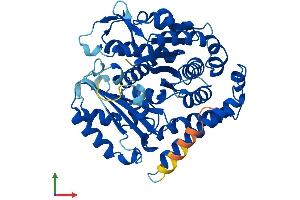 AlphaFold protein structure predicition of Human Recombinant TUBB3 Protein, UniprotID Q13509