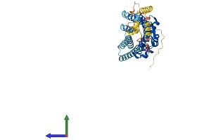 AlphaFold protein structure predicition of Human Recombinant OPRM1 Protein, UniprotID P35372