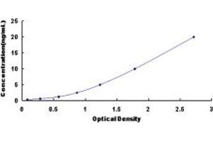 Typical standard curve (GFPT2 Kit ELISA)