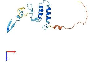 AlphaFold protein structure predicition of Mouse Recombinant Chchd4 Protein, UniprotID Q8VEA4