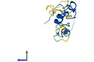 AlphaFold protein structure predicition of Human Recombinant CRIPT Protein, UniprotID Q9P021