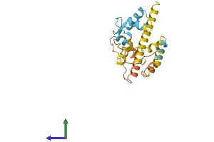 AlphaFold protein structure predicition of Mouse Recombinant Cabp7 Protein, UniprotID Q91ZM8