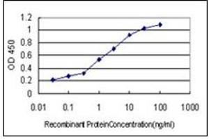 ELISA image for anti-Tumor Susceptibility Gene 101 (TSG101) antibody (ABIN781822)