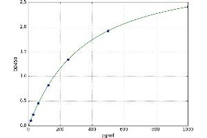 Agouti Related Protein Homolog (Mouse) (AGRP) ELISA Kit