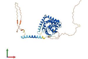 AlphaFold protein structure predicition of Human Recombinant FAXC Protein, UniprotID Q5TGI0