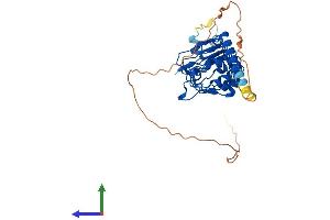 AlphaFold protein structure predicition of Mouse Recombinant Ppp1r42 Protein, UniprotID Q8R1Z4