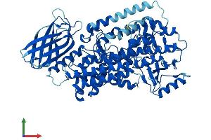 AlphaFold protein structure predicition of Human Recombinant ALOX12 Protein, UniprotID P18054