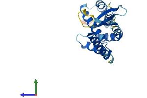 AlphaFold protein structure predicition of Mouse Recombinant Commd1 Protein, UniprotID Q8K4M5