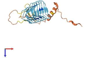 AlphaFold protein structure predicition of Human Recombinant DCTN6 Protein, UniprotID O00399