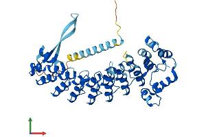 AlphaFold protein structure predicition of Human Recombinant ASB16 Protein, UniprotID Q96NS5