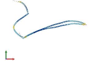 AlphaFold protein structure predicition of Mouse Recombinant Tchp Protein, UniprotID Q3TVW5