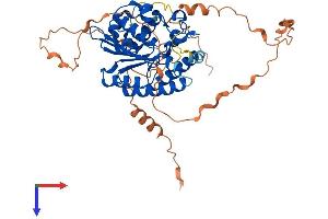 AlphaFold protein structure predicition of Mouse Recombinant Pced1a Protein, UniprotID Q6P1Z5