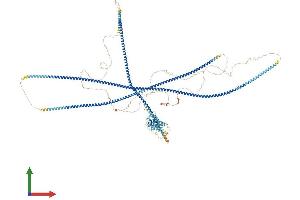 AlphaFold protein structure predicition of Mouse Recombinant Ccdc88b Protein, UniprotID Q4QRL3