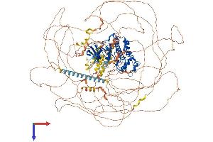 AlphaFold protein structure predicition of Mouse Recombinant Cdk13 Protein, UniprotID Q69ZA1