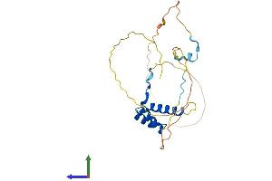 AlphaFold protein structure predicition of Mouse Recombinant Nkx2-8 Protein, UniprotID O70584