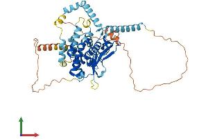 AlphaFold protein structure predicition of Human Recombinant PNPLA3 Protein, UniprotID Q9NST1