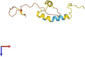 AlphaFold protein structure predicition of Human Recombinant C8orf17 Protein, UniprotID Q9NRJ1
