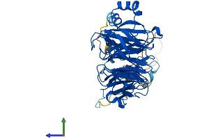 AlphaFold protein structure predicition of Human Recombinant GRWD1 Protein, UniprotID Q9BQ67