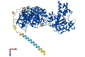 AlphaFold protein structure predicition of Human Recombinant NDST4 Protein, UniprotID Q9H3R1