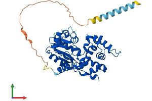 AlphaFold protein structure predicition of Mouse Recombinant Chst10 Protein, UniprotID Q6PGK7