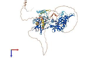 AlphaFold protein structure predicition of Mouse Recombinant Tiparp Protein, UniprotID Q8C1B2