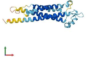 AlphaFold protein structure predicition of Mouse Recombinant Tm4sf1 Protein, UniprotID Q64302