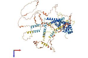 AlphaFold protein structure predicition of Mouse Recombinant Patl1 Protein, UniprotID Q3TC46