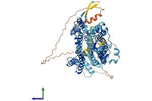 AlphaFold protein structure predicition of Mouse Recombinant Slc23a2 Protein, UniprotID Q9EPR4