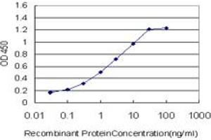 Detection limit for recombinant GST tagged PGR is approximately 0. (Progesterone Receptor anticorps  (AA 1-110))