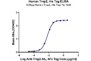 Immobilized Human TROP-2, His Tag at 0. (TACSTD2 Protein (AA 27-274) (His tag))
